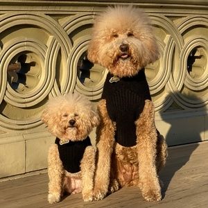 Canine Styles Nantucket Hand Knit Wool Dog Sweater - Two Sizes in Black